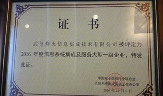烽火通信榮膺首批全國(guó)信息系統(tǒng)集成及服務(wù)大型一級(jí)企業(yè)，引領(lǐng)行業(yè)標(biāo)桿
